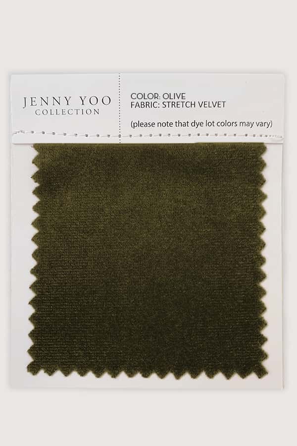 Jenny Yoo Stretch Velvet Swatch Card - Image 16